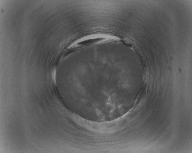 X0000067900047200604271903