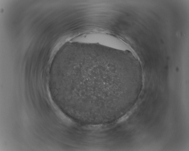 X0000067900049200604271903