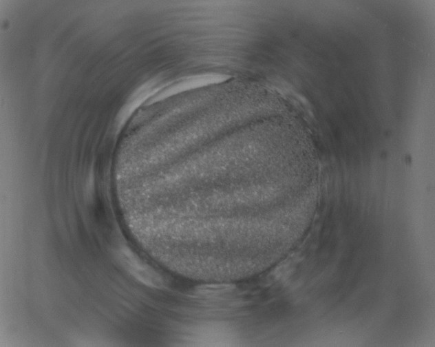 X0000067900051200604271903