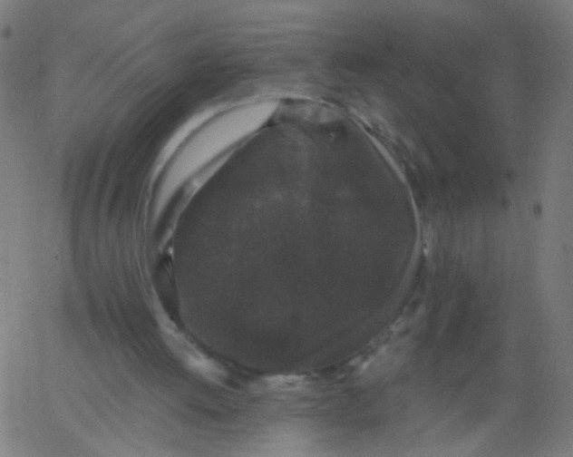 X0000067900052200604271903