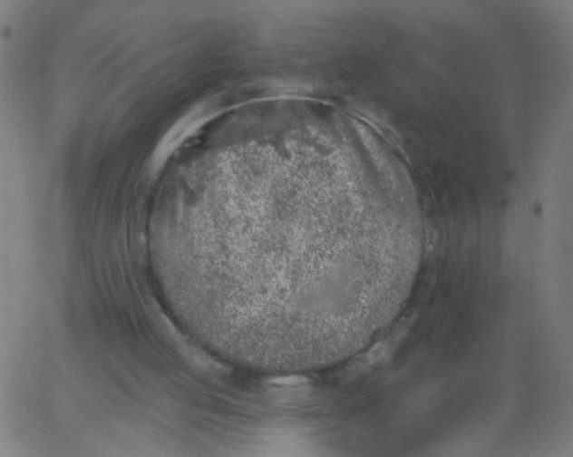 X0000067900053200604271903