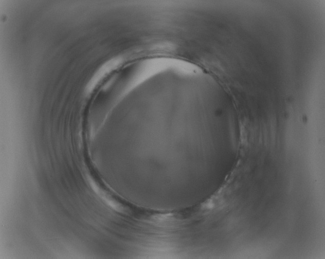 X0000067900054200604271903