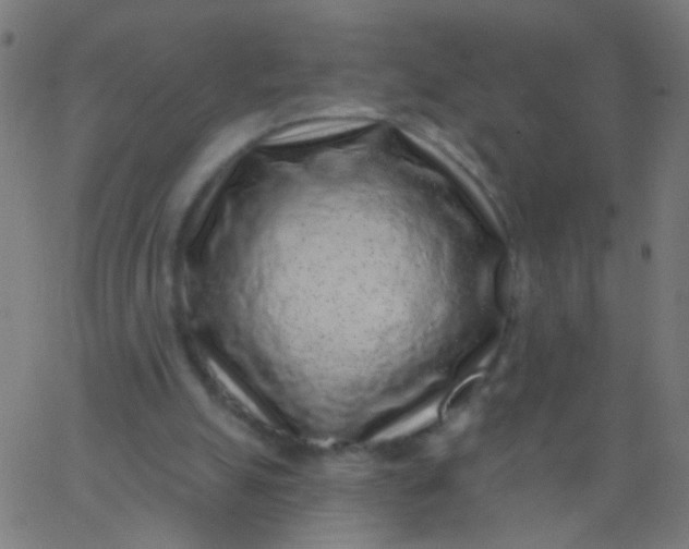 X0000067900055200604271903