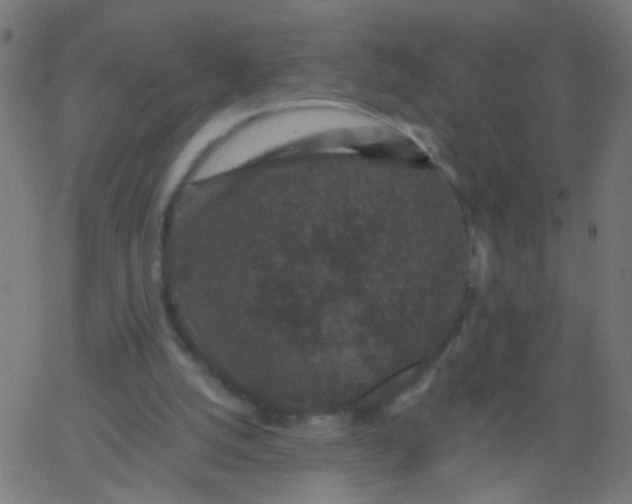 X0000067900056200604271903