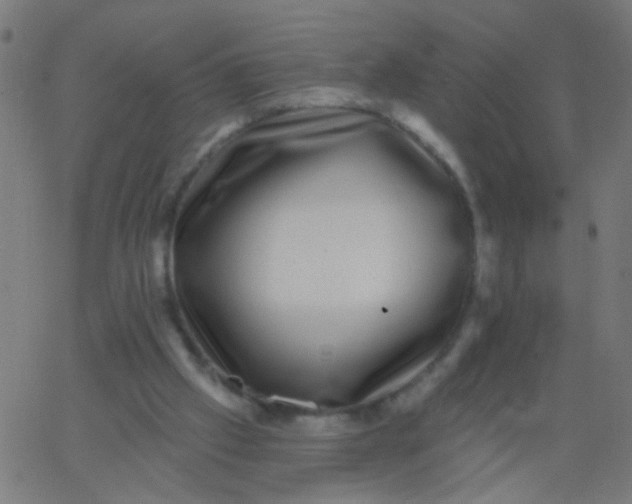 X0000067900057200604271903