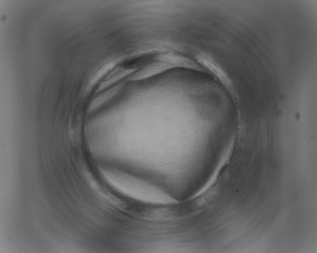 X0000067900058200604271903