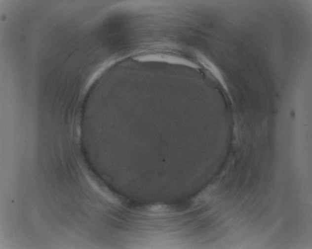 X0000067900059200604271903