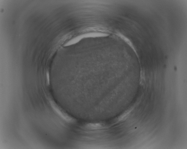 X0000067900061200604271903