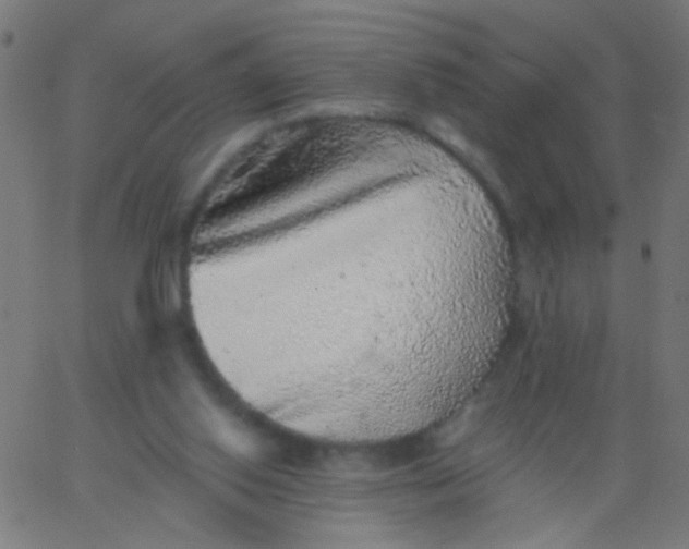 X0000067900062200604271903