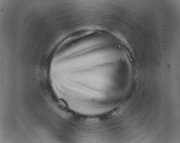 X0000067900063200604271903