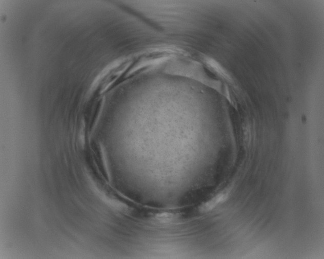 X0000067900064200604271903