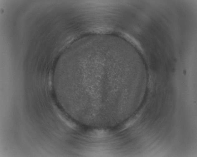 X0000067900065200604271903