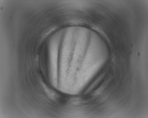 X0000067900066200604271903