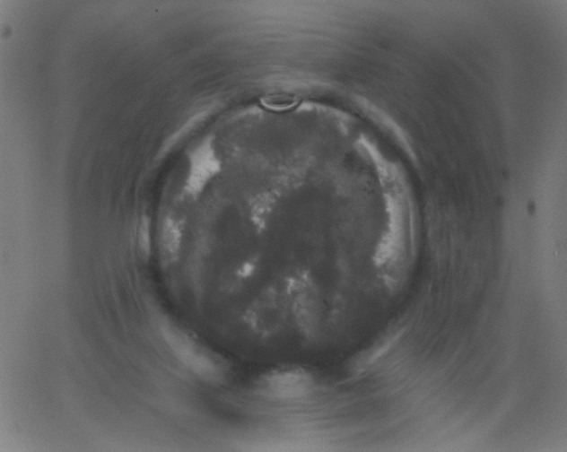 X0000067900067200604271903