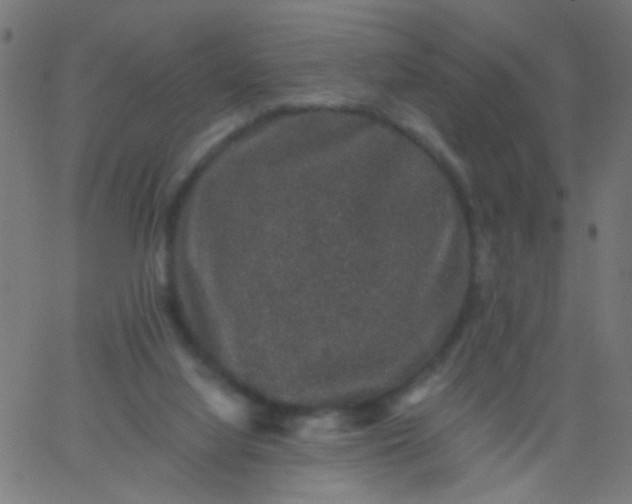 X0000067900068200604271903