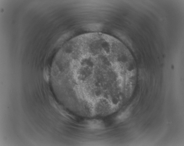 X0000067900069200604271903