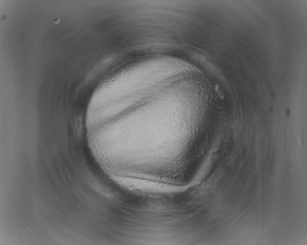 X0000067900070200604271903