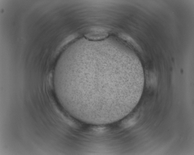 X0000067900071200604271903