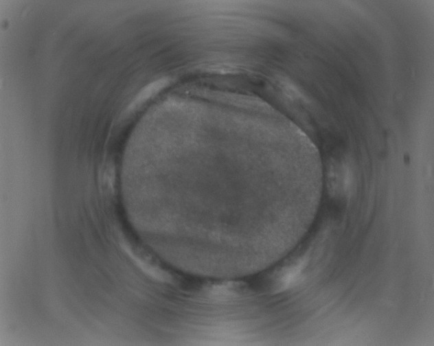 X0000067900072200604271903