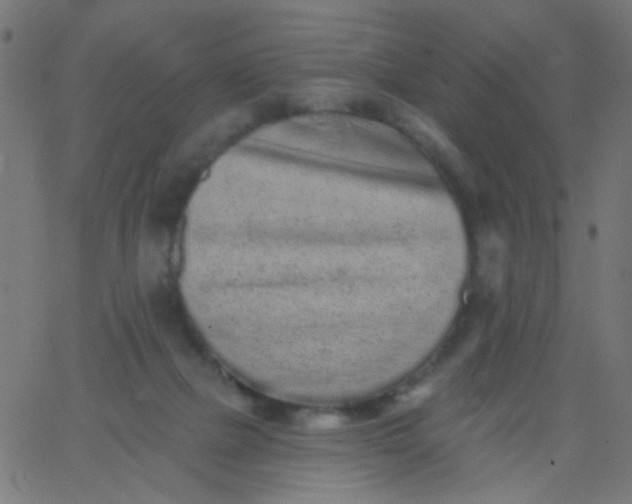 X0000067900073200604271903