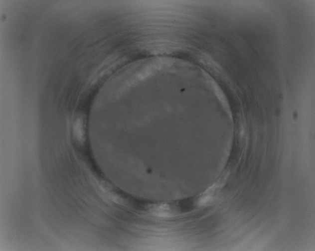 X0000067900074200604271903