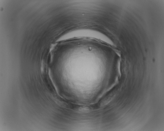 X0000067900075200604271903