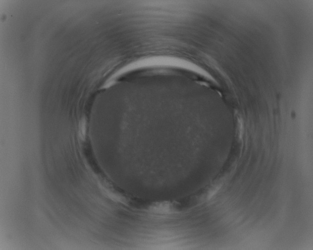 X0000067900076200604271903