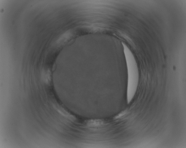 X0000067900077200604271903