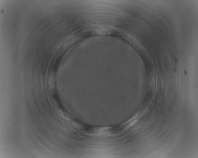 X0000067900078200604271903