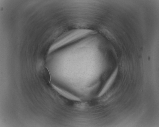 X0000067900079200604271903