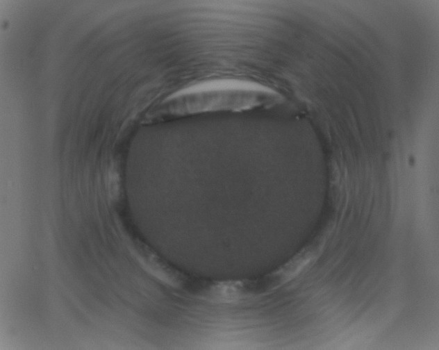 X0000067900080200604271903