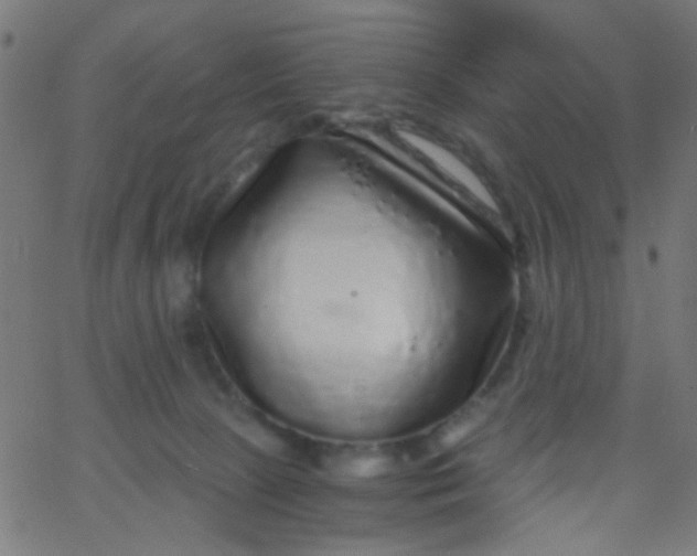 X0000067900081200604271903