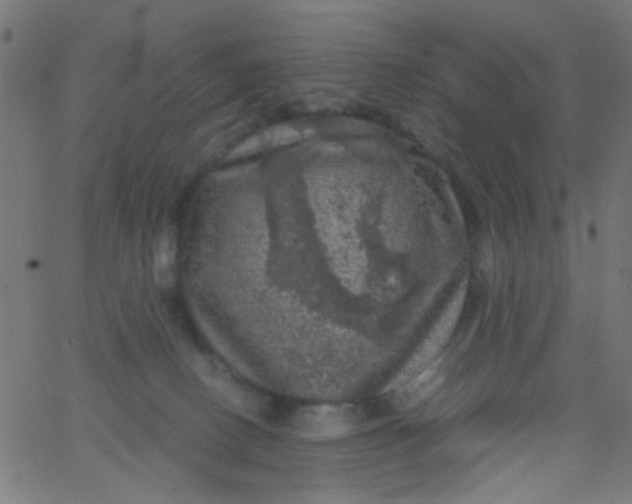 X0000067900082200604271903