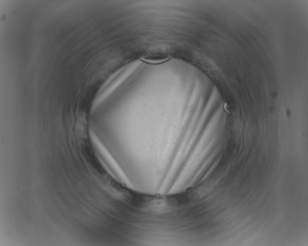 X0000067900083200604271903