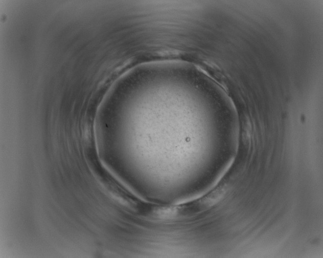 X0000067900084200604271903