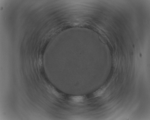 X0000067900085200604271903