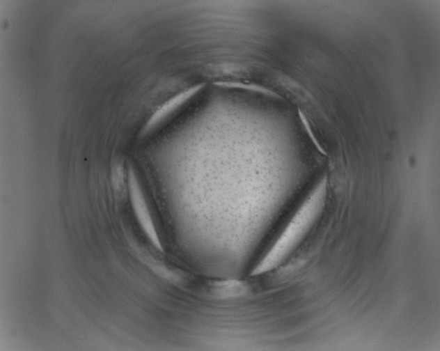 X0000067900087200604271903