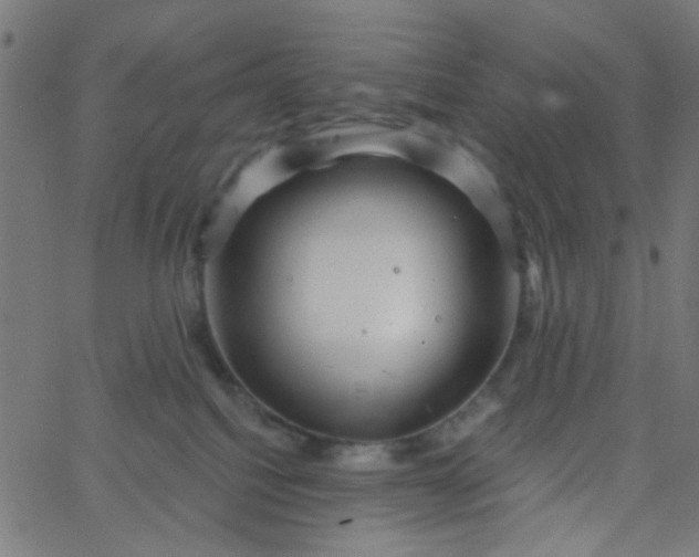 X0000067900088200604271903