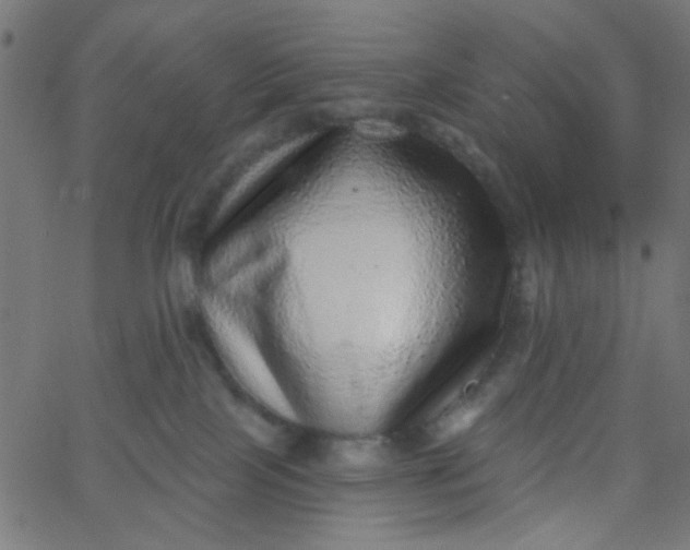 X0000067900089200604271903