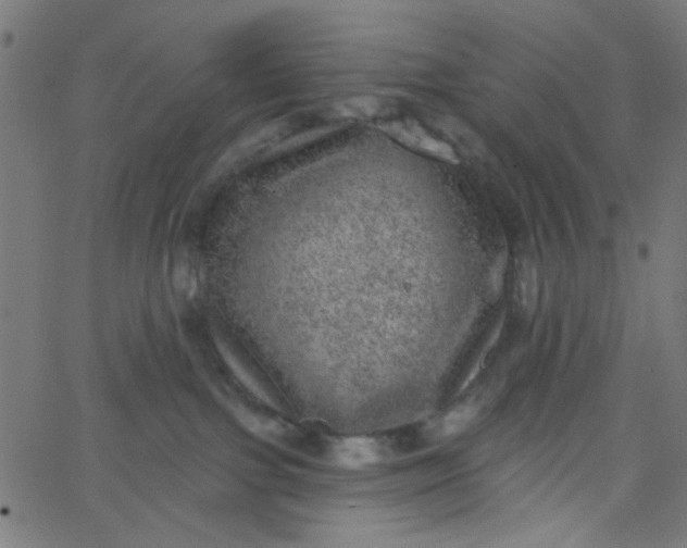 X0000067900091200604271903