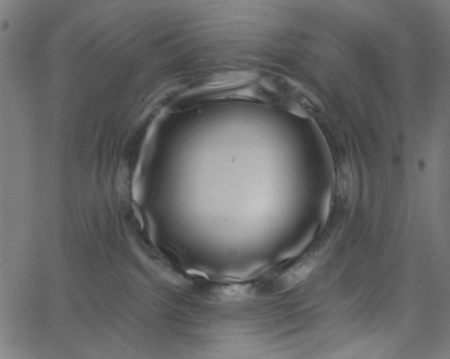 X0000067900092200604271903