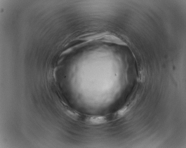 X0000067900093200604271903