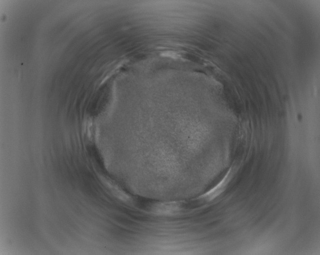 X0000067900094200604271903