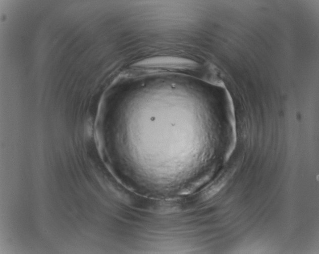 X0000067900095200604271903