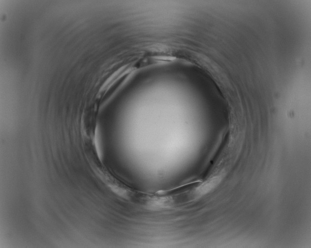 X0000067900096200604271903