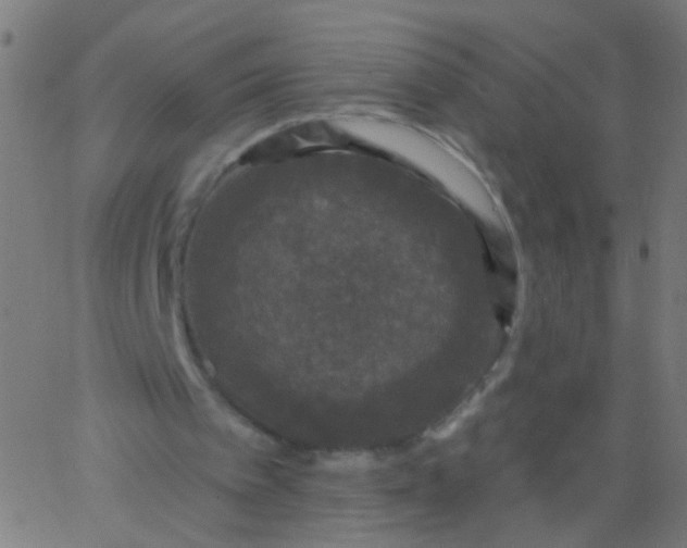 X0000067900097200604271903