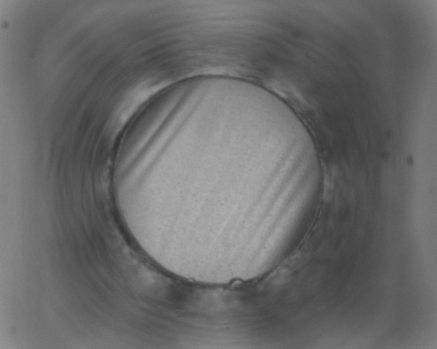 X0000067900098200604271903