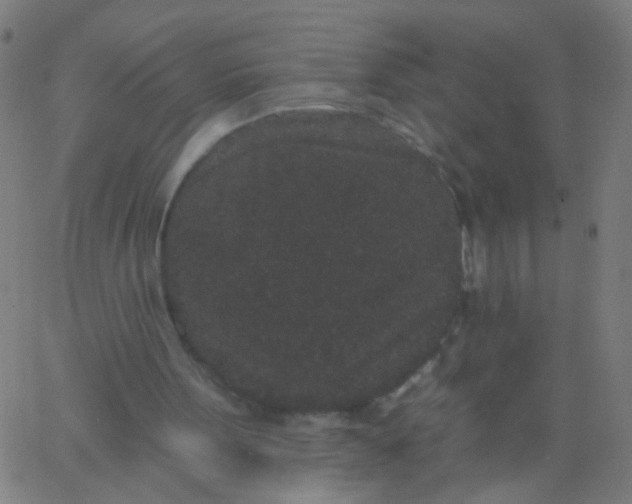 X0000067900099200604271903