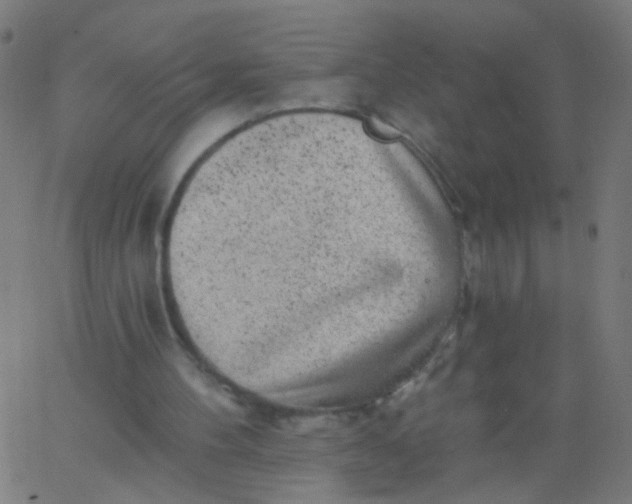 X0000067900100200604271903