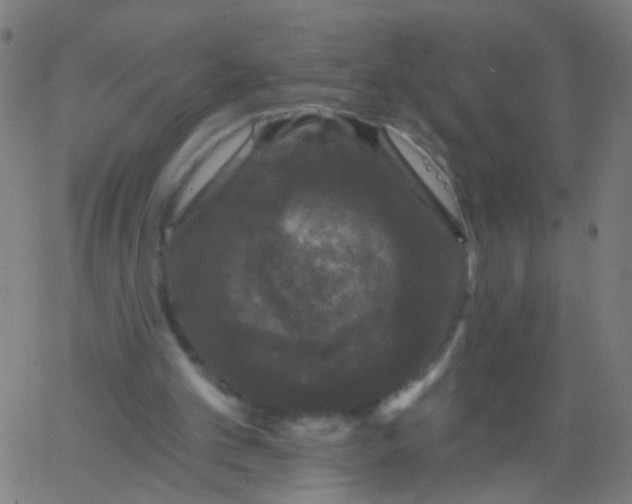 X0000067900101200604271902